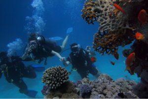 scuba diving
